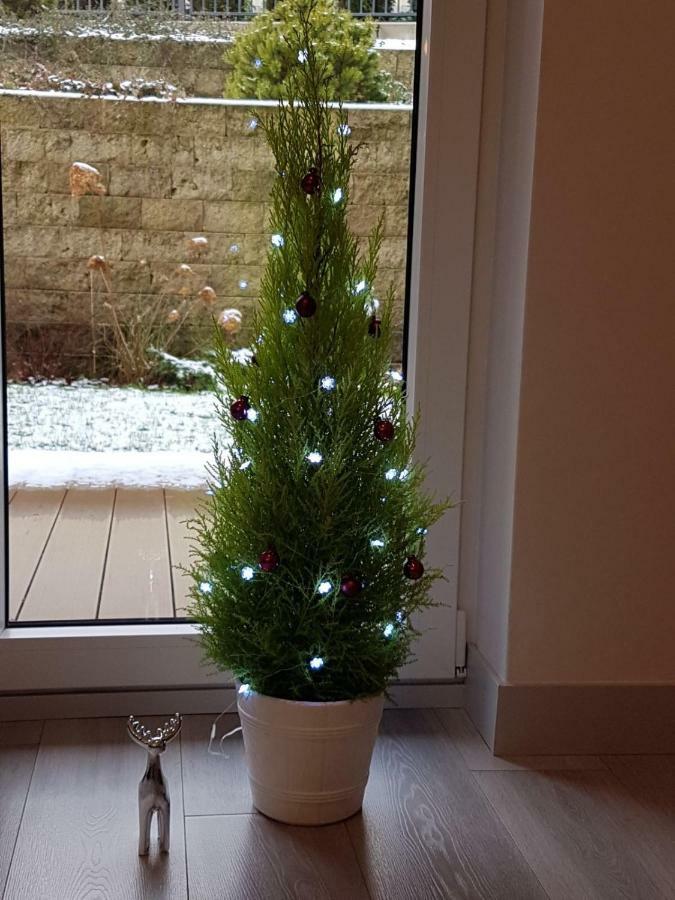 Apartament Z Ogrodem Polanica-Zdrój Buitenkant foto